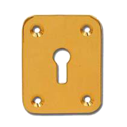 DORTREND 2151 Front Fix Escutcheon Polished Brass