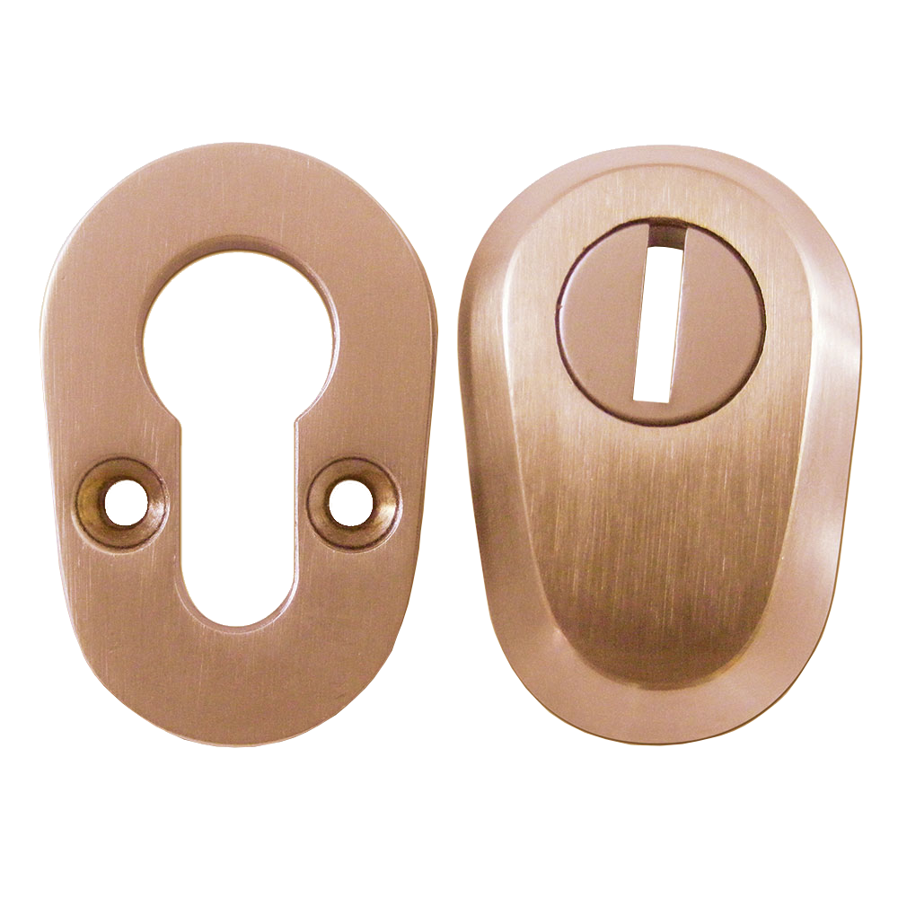 ASEC High Security Bolt Through Euro Escutcheon Set Brass