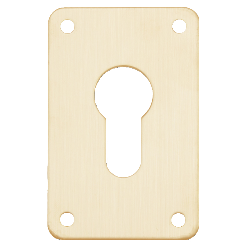 ASEC Screw On 45mm x 70mm Euro Escutcheon GA - Gold