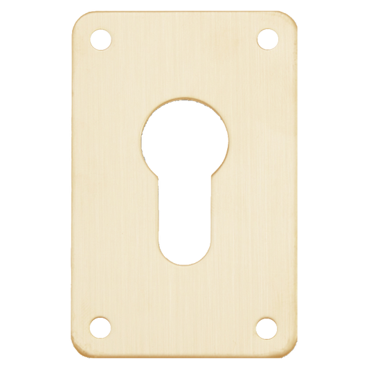 ASEC Screw On 45mm x 70mm Euro Escutcheon GA - Gold