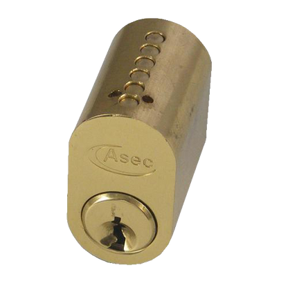 ASEC 6-Pin Scandinavian Oval External Cylinder Keyed To Differ Pro - Polished Brass