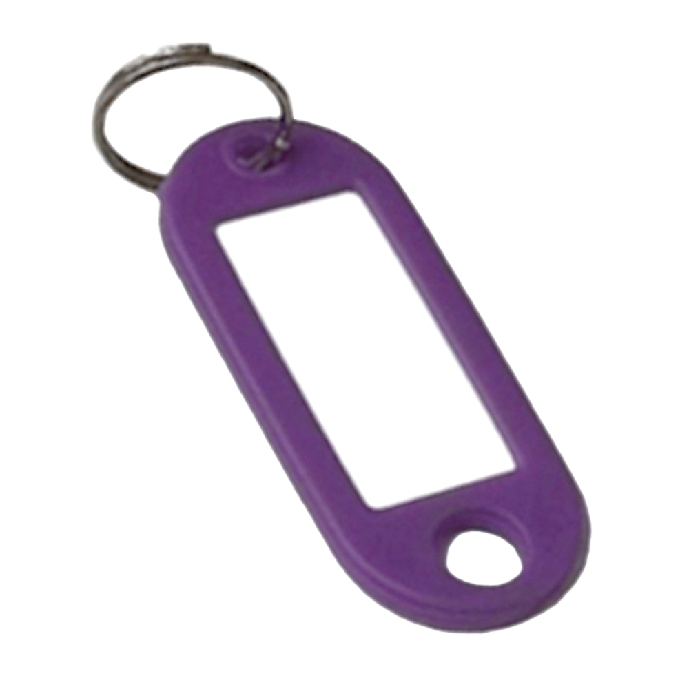 ASEC Key Name Tag Bag of 50 Single Colour Purple - Light Blue