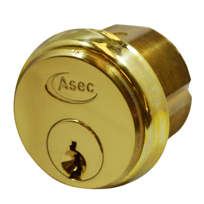 ASEC 5-Pin Screw-In Cylinder Keyed To Differ Single - Polished Brass