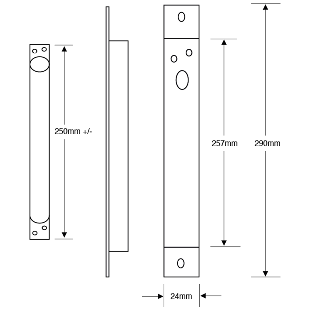 ASEC Concealed Door Loop