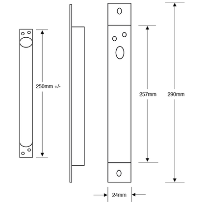 ASEC Concealed Door Loop