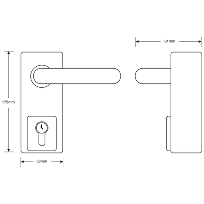 ASEC Lever Operated Outside Access Device