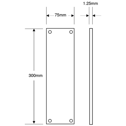 ASEC Push Pad Panic Latch