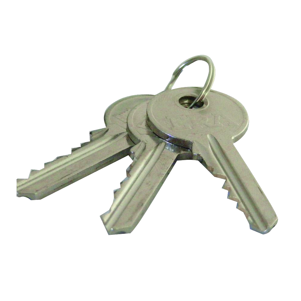 ERA 5-Pin Oval Key & Turn Cylinder