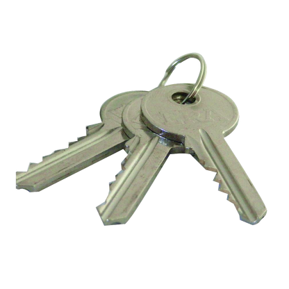 ERA 5-Pin Oval Key & Turn Cylinder