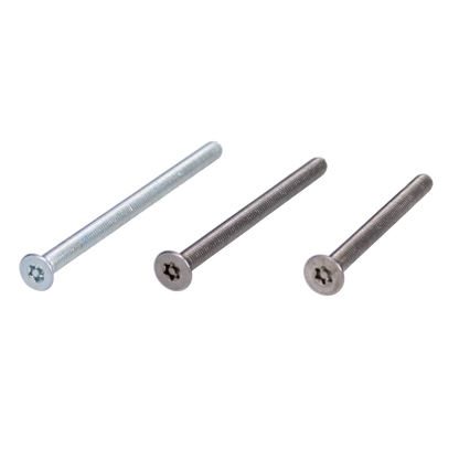 EVVA ZS Resistorx Cylinder Fixing Screw