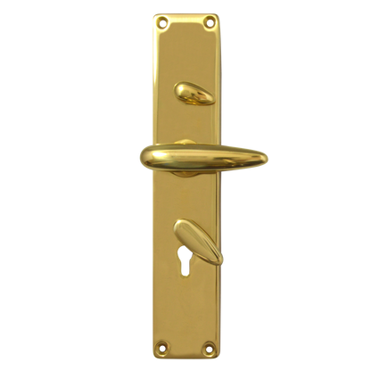 FRANK ALLART 1218 & 1220 Handle Door Furniture To Suit Chubb 3R35