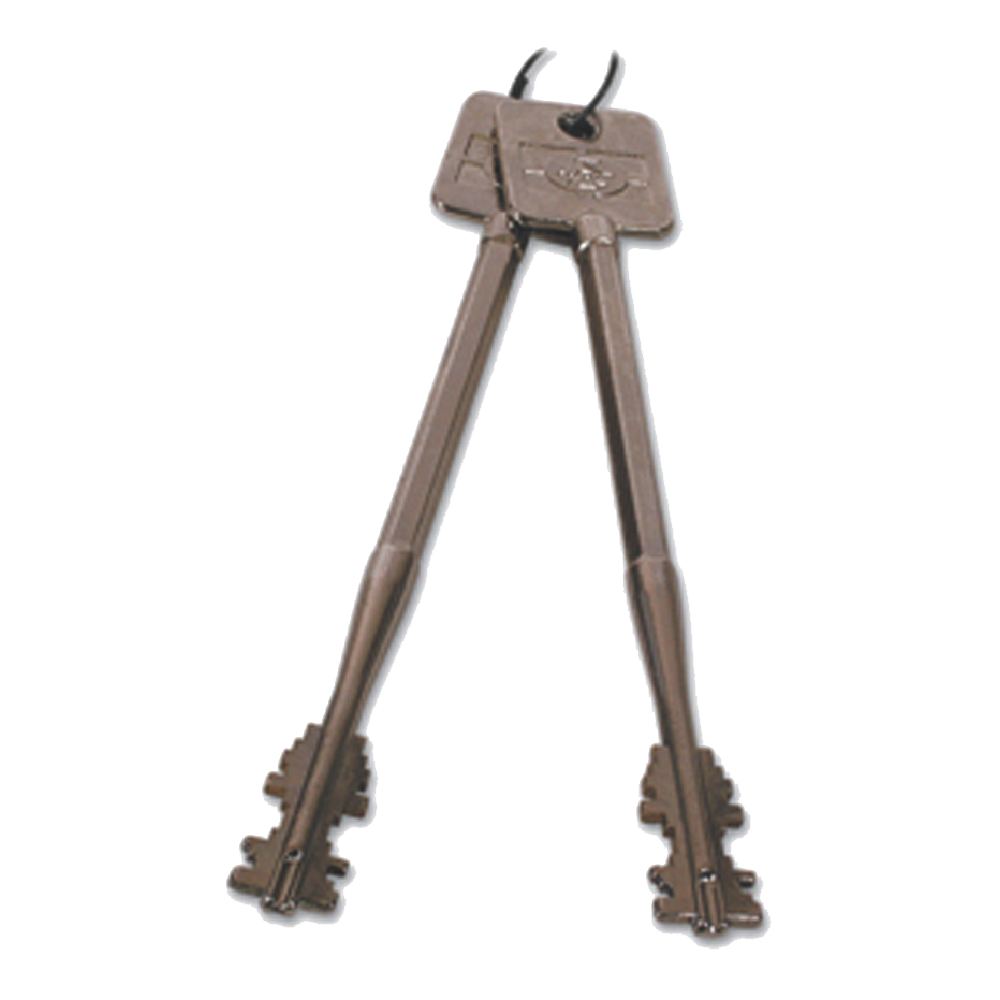 SARGENT & GREENLEAF 6880-902 Key Set 90mm 2 Key Set - Galvanised