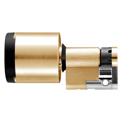 EVVA AirKey Euro Half Proximity Cylinder Sizes 31mm to 92mm - Polished Brass