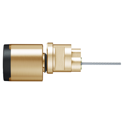 EVVA AirKey Rim Proximity Cylinder Polished Brass