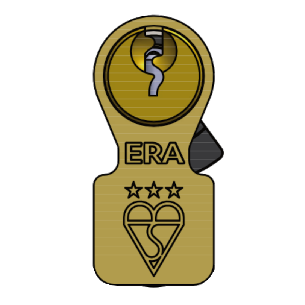 ERA Invincible BS Kitemarked 3 Star Cylinder & Turn 100mm 50Ext/T50 45/10/45T Keyed To Differ - Brass