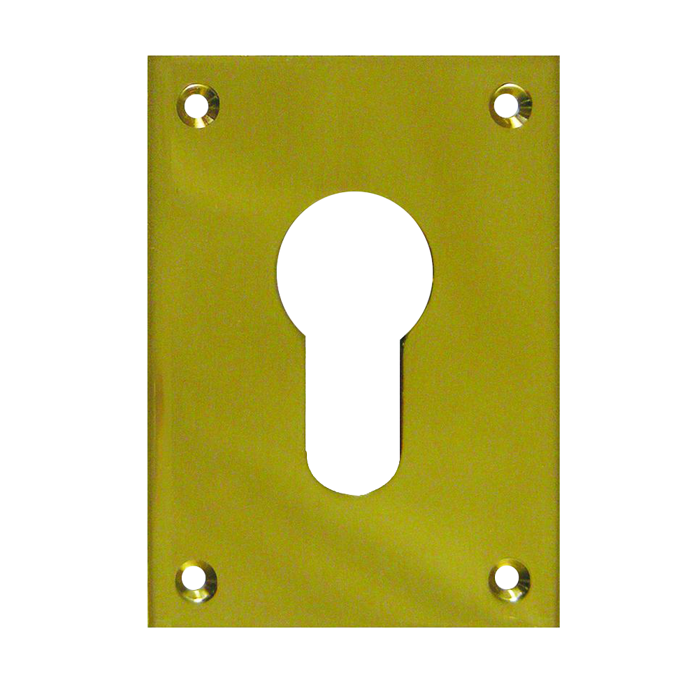 SOUBER TOOLS EE1 Front Fix Euro Escutcheon Polished Brass