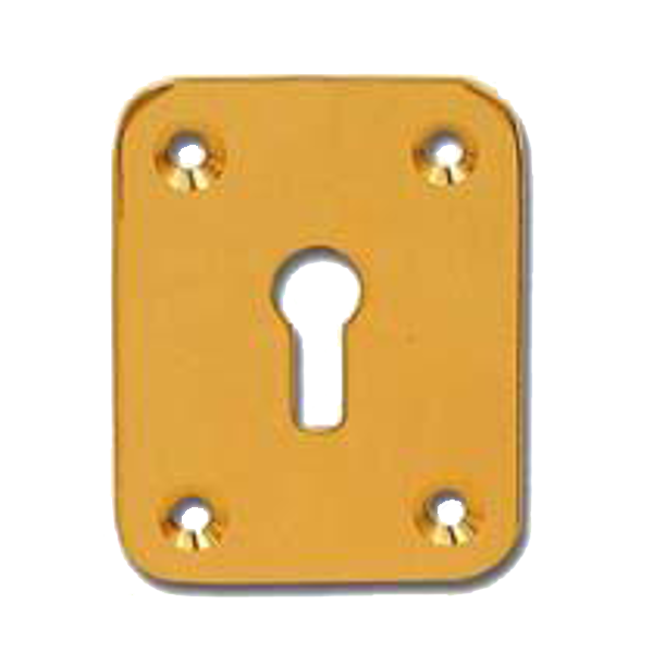 DORTREND 2151 Front Fix Escutcheon Polished Brass