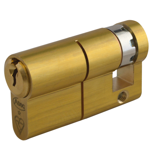 ASEC Kite Euro Half Cylinder 55mm 45/10 Keyed To Differ PB Pro - Satin Brass