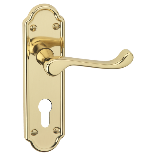 ASEC URBAN San Francisco Euro Lever on Plate Door Furniture Pro - Polished Brass