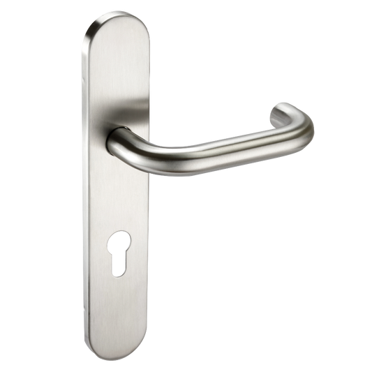ASEC Radius Backplate Lever Furniture DDA Lever Euro - Satin Stainless Steel