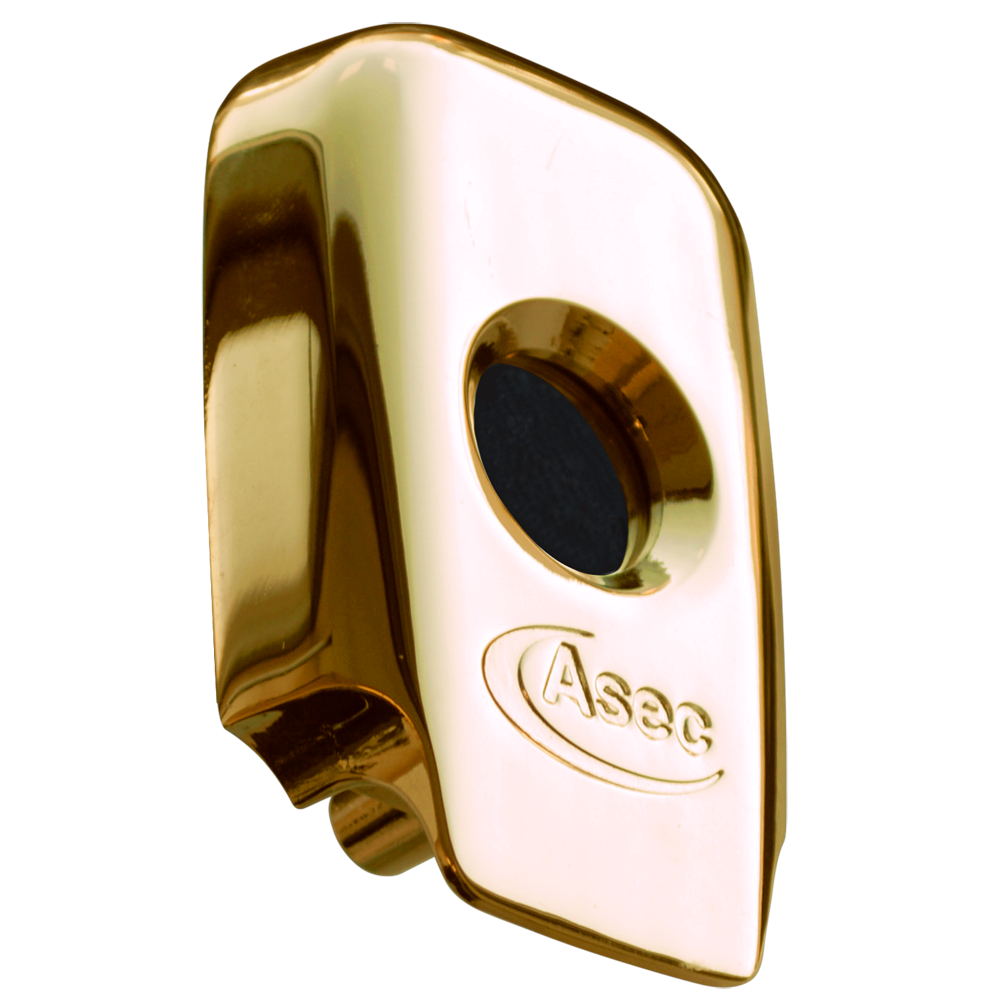 ASEC BS Nightlatch Housing Brass