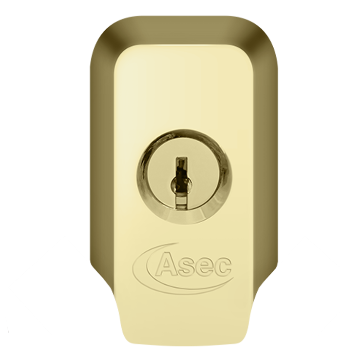 ASEC High Security Rim Cylinder Pull With Cylinder Polished Brass