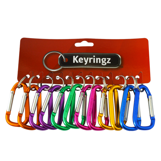 ASEC Metal Carabiner Key Ring Small - Assorted Colours
