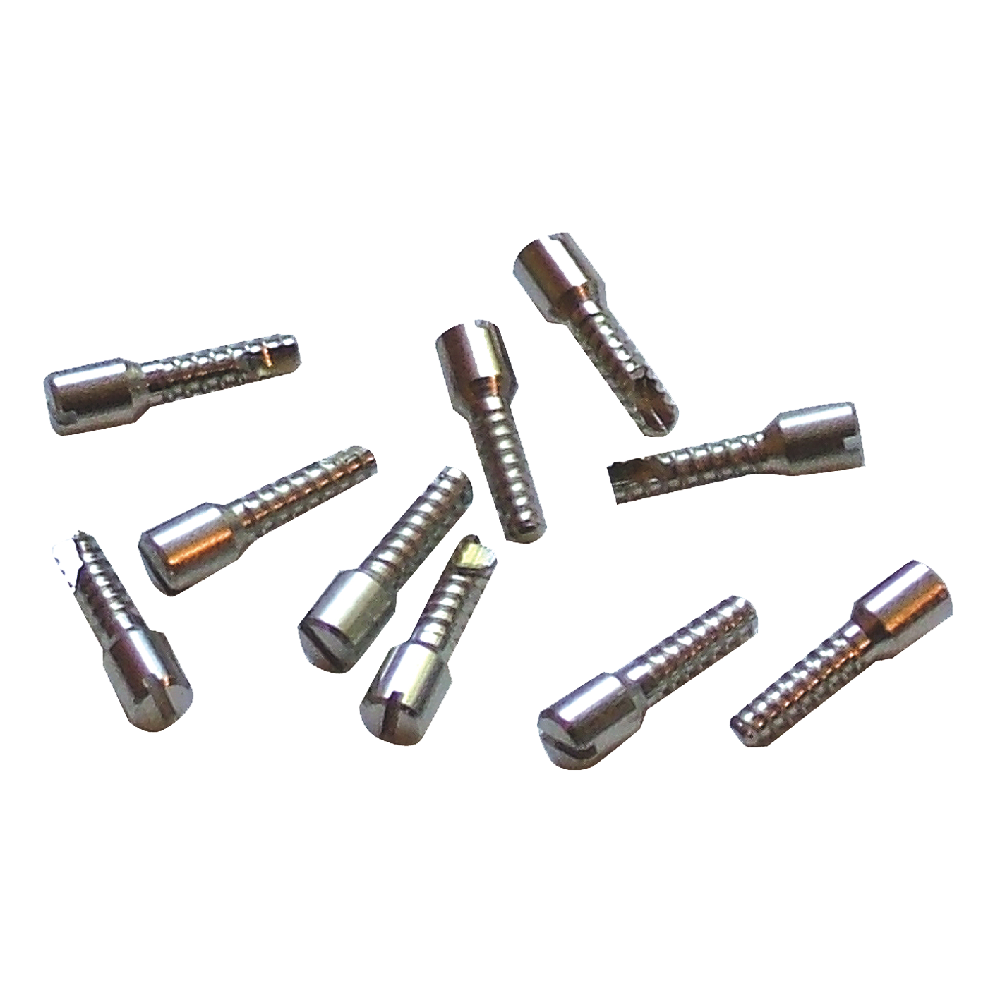 DORMAKABA 44214 Cylinder Retaining Screw To Suit 3000 Series 3000