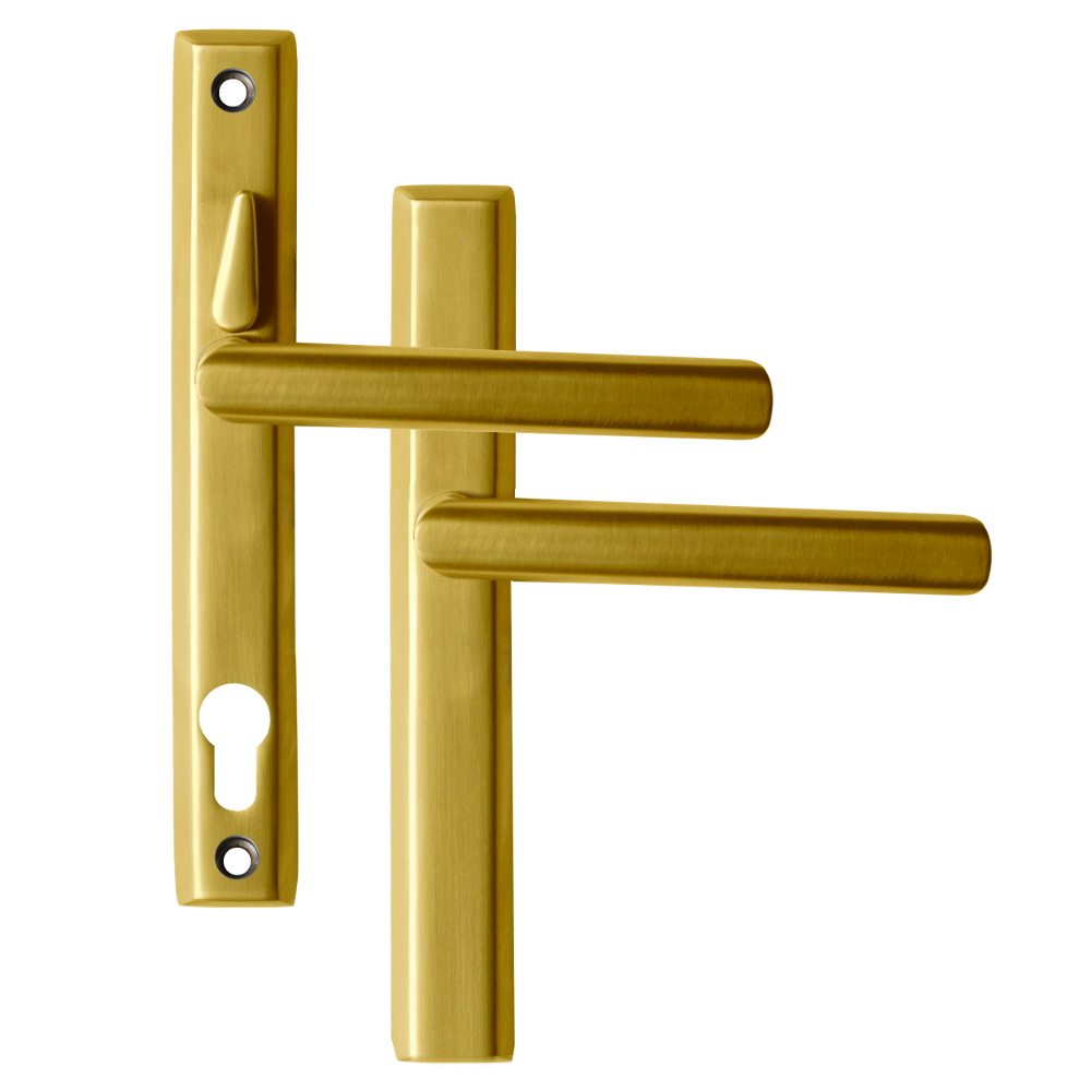 LOXTA Stealth Double Locking Lever Handle (Blank External) - 211mm 92PZ Polished Gold