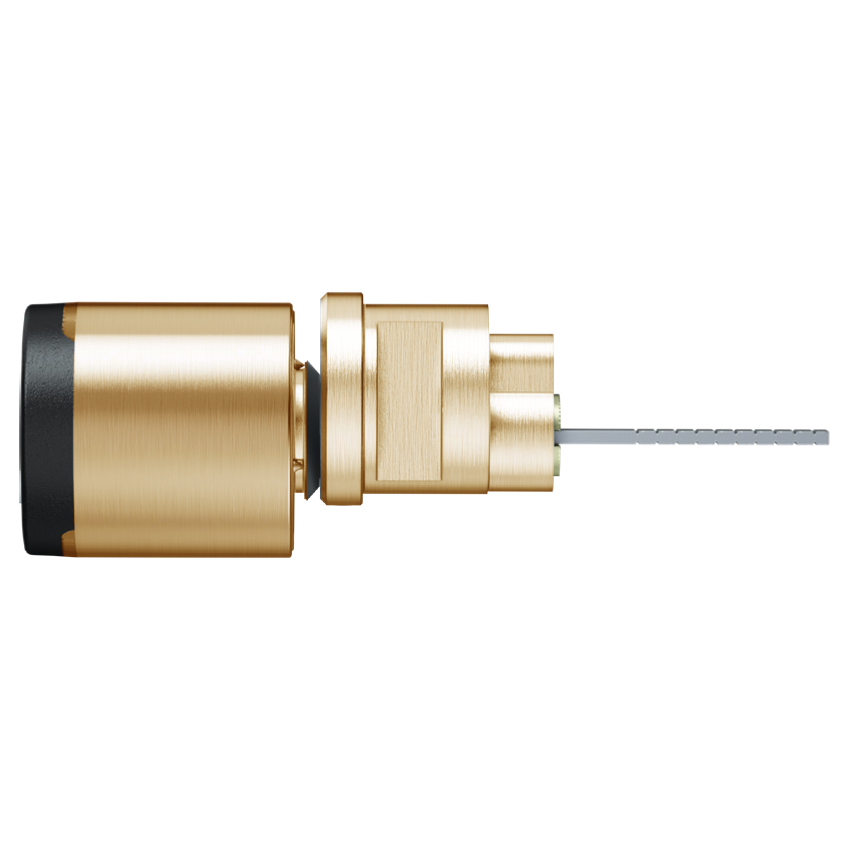 EVVA AirKey Rim Proximity Cylinder Polished Brass