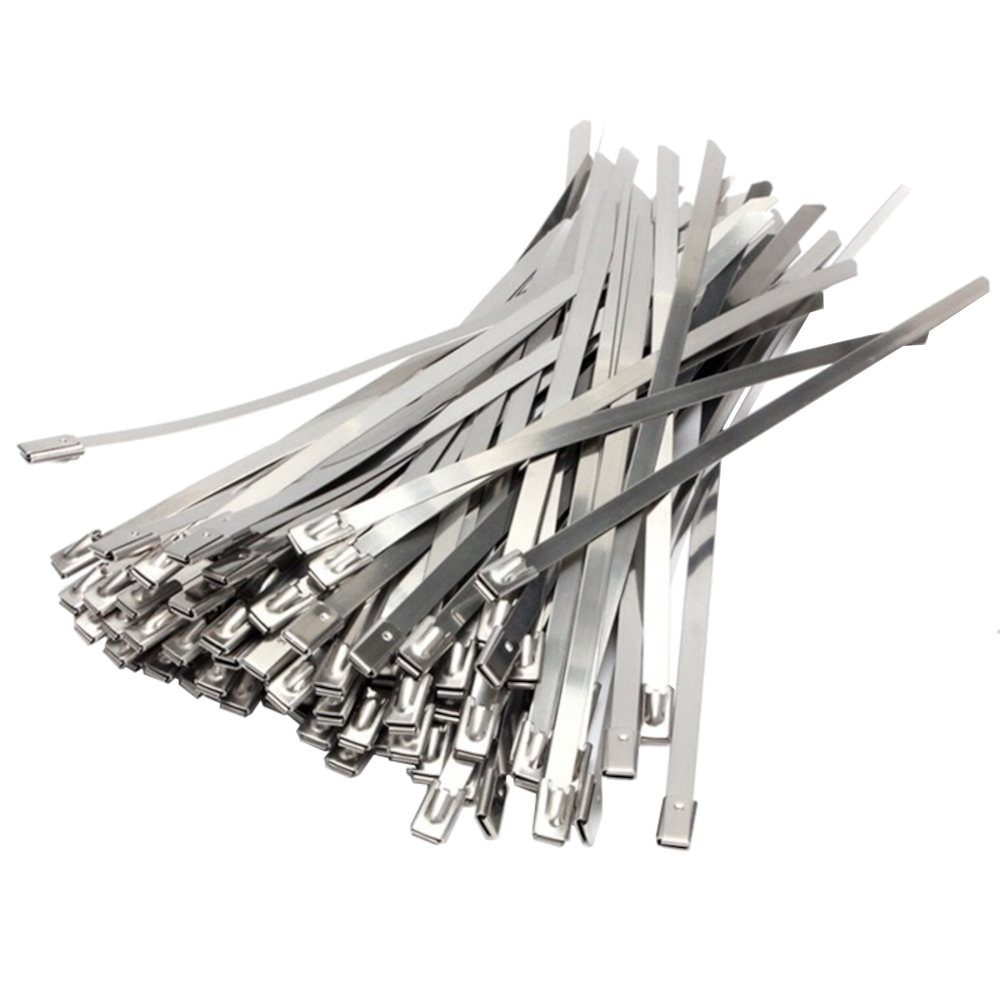 HAYDON MARKETING Stainless Steel Cable Ties 100 Pack 200mm x 4.6mm