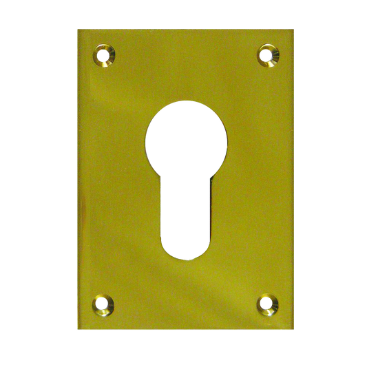 SOUBER TOOLS EE1 Front Fix Euro Escutcheon Polished Brass