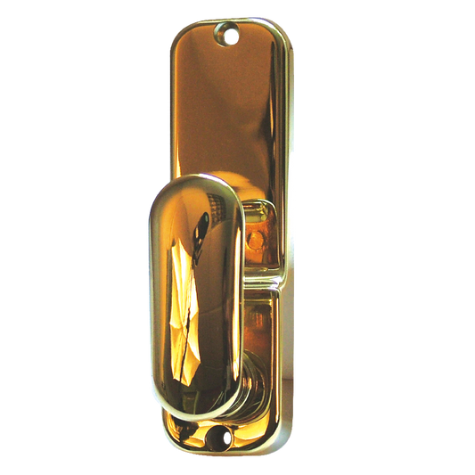 CODELOCKS CL200 Series Back Plate To Suit 2255 B255 - Polished Brass