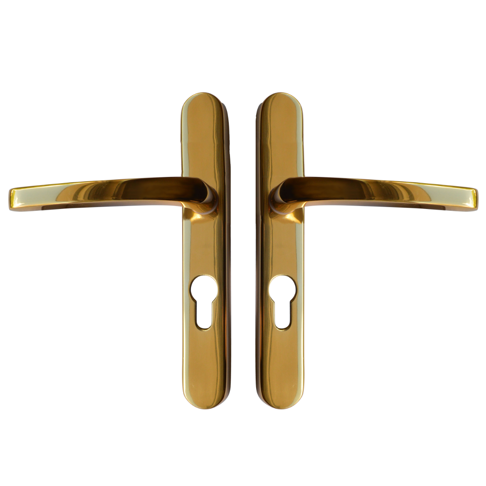 ASEC Vital Lever Long Backplate 211mm Centres - Polished Gold